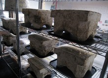 Grid_grow_blanks